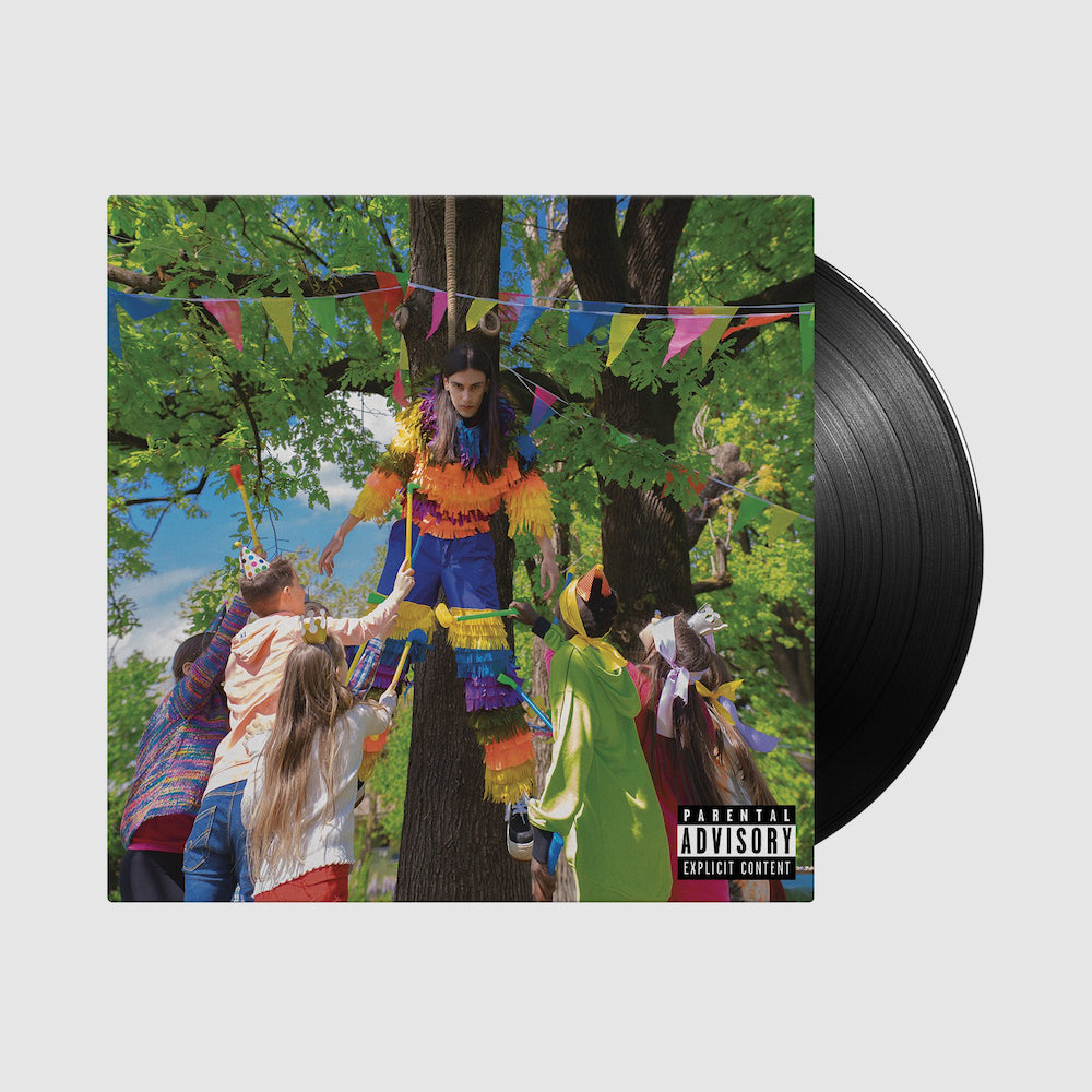 VIPRA / Simpatico, solare, in cerca di amicizie - Vinile Autografato